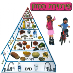 ערכת המחשה פעילה פירמידת המזון