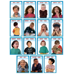 ערכת תמונות הבעות פנים (15 תמונות)