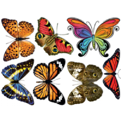 ערכת גזירות ענק פרפרים