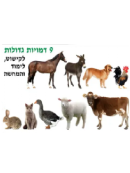 ערכת גזירות ענק חיות בית ומשק