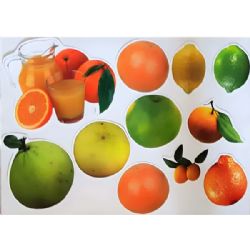 גזירות גדולות פרי הדר