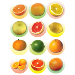 מדבקות פירות הדר 30 מ"מ 10 דף