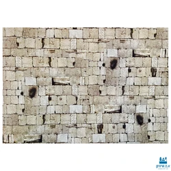 פוסטר הכותל 50/70 ס"מ