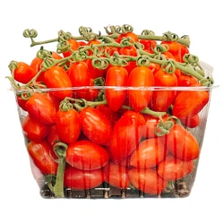 עגבניות שרי (נספק)