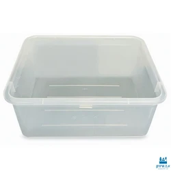 מיכל שקוף מס' 10