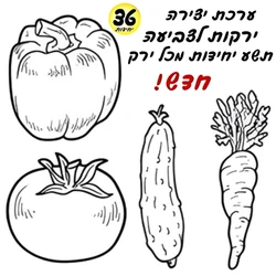 ירקות לצביעה - יצירה (36 יח')